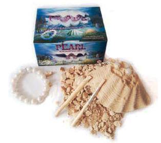 Pearl Bracelet Kit
